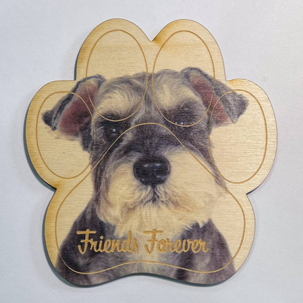 Schnauzer Magnet