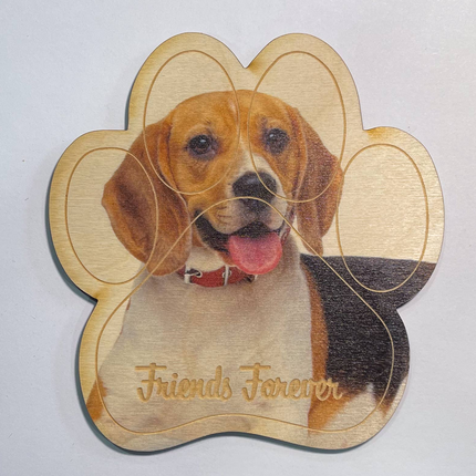 Beagle Magnet
