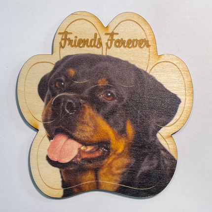 Rottweiler Magnet