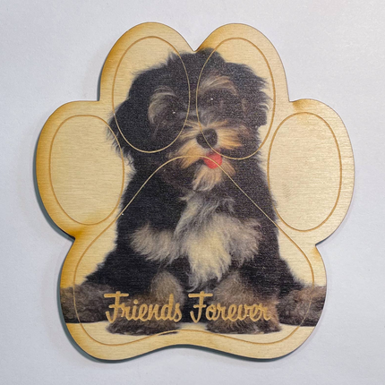 Havanese Magnet