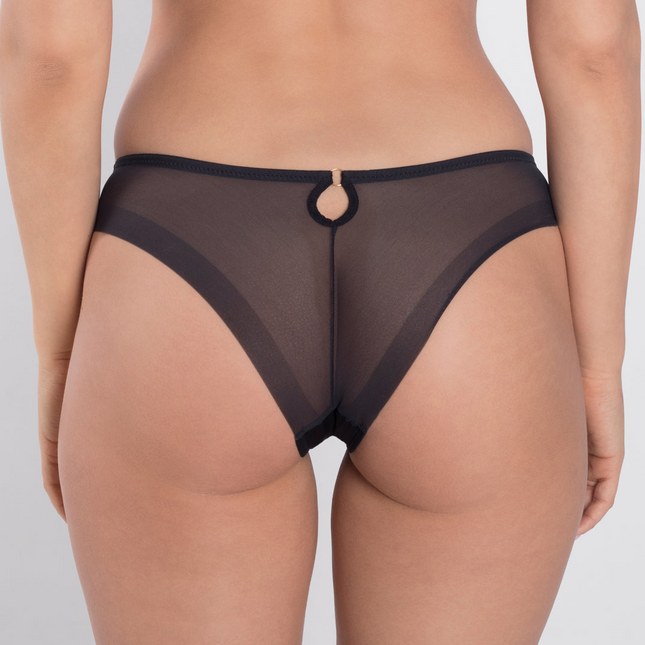 Sheer Mesh Tulle Embroidered Tanga Panty Perla Black