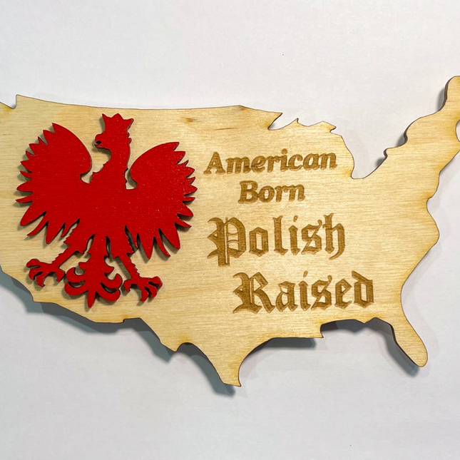Polish 3D American Magnet