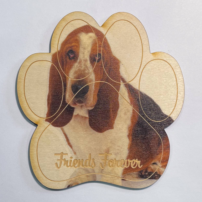 Bassett Hound Magnet