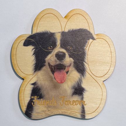 Border Collie Magnet