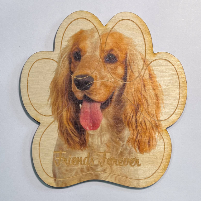 Cocker Spaniel Magnet