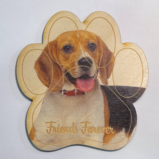 Beagle Magnet