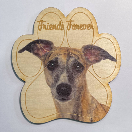 Greyhound Magnet