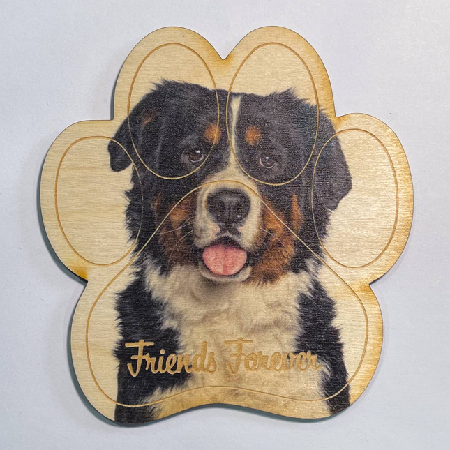 Bernese Mountain Dog Magnet