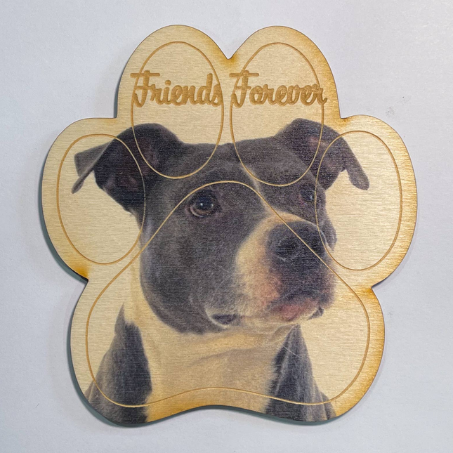Pit Bull Magnet