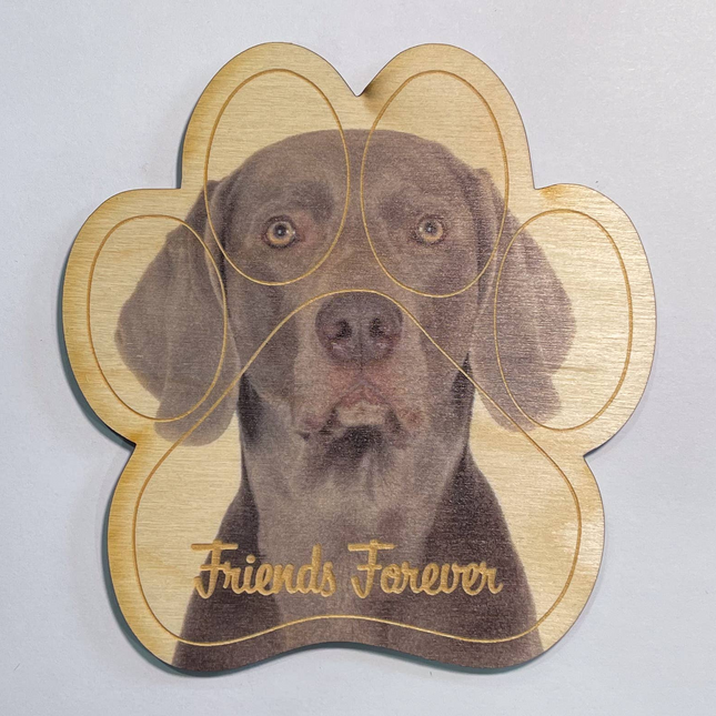 Weimaraner Magnet