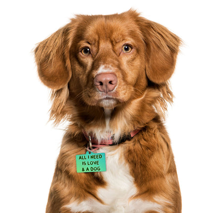 All I Need is Love and a Dog Pet ID Tag - Cute Pet Tag - Graphic Pet ID Tag