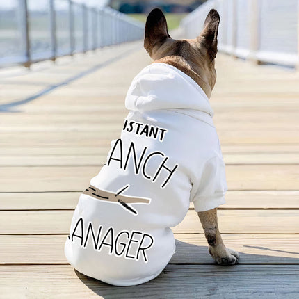 Assistant Branch Manager Dog Hoodie - Minimalist Dog Coat - Print Dog Clothing