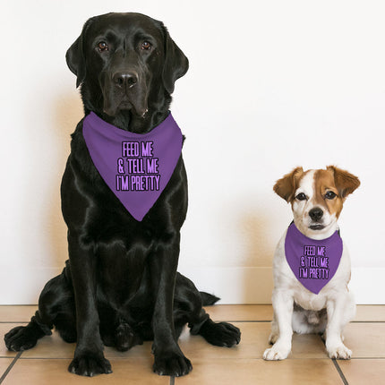 Feed Me Pet Bandana Collar - Word Design Scarf Collar - Dog Theme Dog Bandana