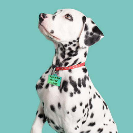 All I Need is Love and a Dog Pet ID Tag - Cute Pet Tag - Graphic Pet ID Tag