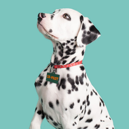 Co Pilot Pet ID Tag - Best Print Pet Tag - Cool Quote Pet ID Tag