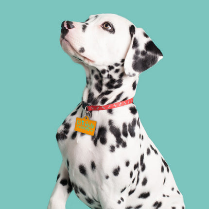 Life Is Better With Pets Pet ID Tag - Kawaii Pet Tag - Printed Pet ID Tag