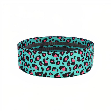 Resistance Band