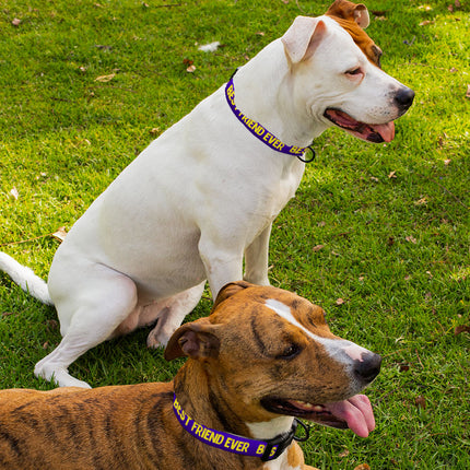 Best Friend Ever Pet Collar - Cute Design Dog Collar - Best Print Dog Collar