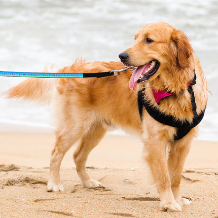 Life is Better With a Dog Pet Leash - Best Design Leash - Printed Leash for Dogs