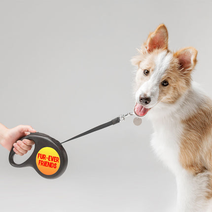 Cute Kawaii Retractable Pet Leash - Trendy Leash - Printed Dog Leash