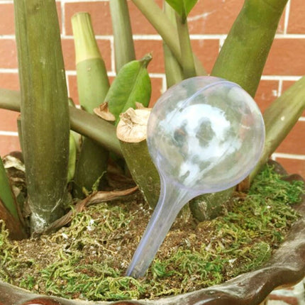 Plant Watering Bulbs