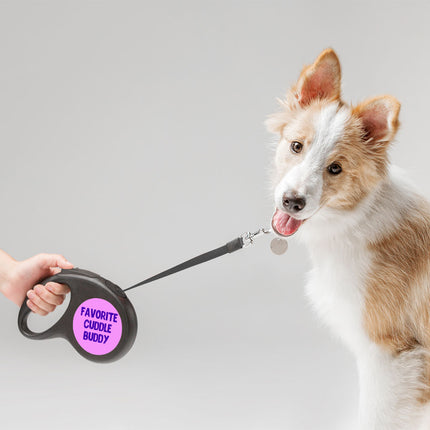 Cuddle Buddy Retractable Pet Leash - Kawaii Leash - Cool Design Dog Leash