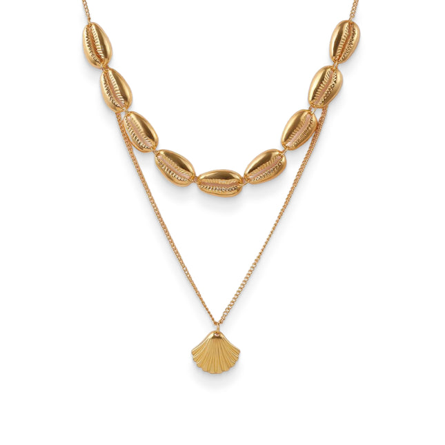 Seashell Necklace