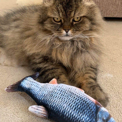 Dancing Fish Catnip Kicker Toy