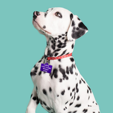 Dog Lover Pet ID Tag - Themed Pet Tag - Cute Pet ID Tag