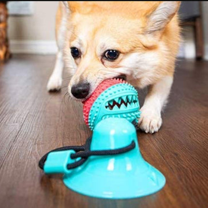 Tug-of-Floor Dog Toy